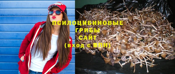 гидропоника Бронницы