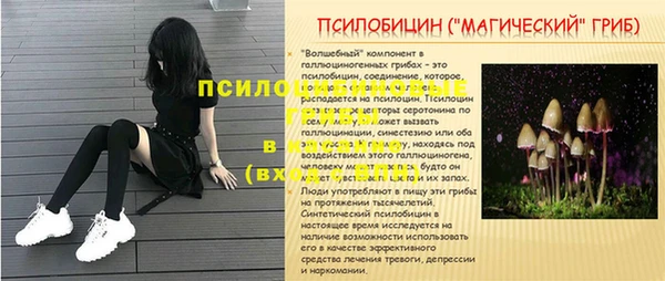 Альфа ПВП Верея