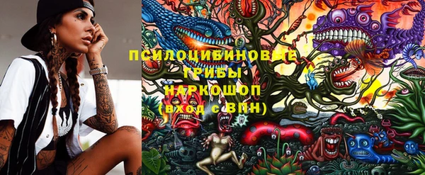 дживик Богородск