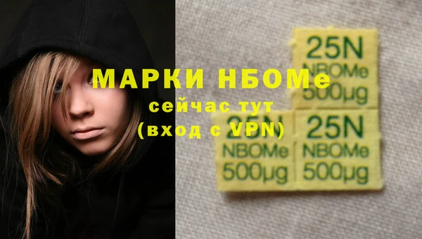 Альфа ПВП Верея