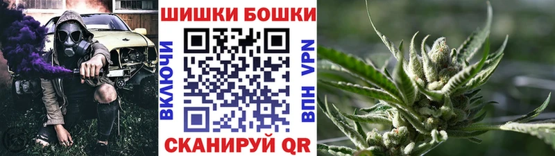 Марихуана сатива  наркотики  Высоковск 